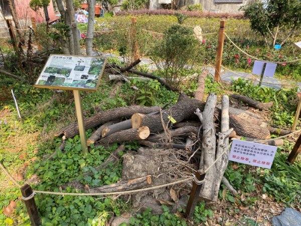 信钰证券  上海高中生8个月建造社区生境花园，刺猬和雨蛙能回来吗